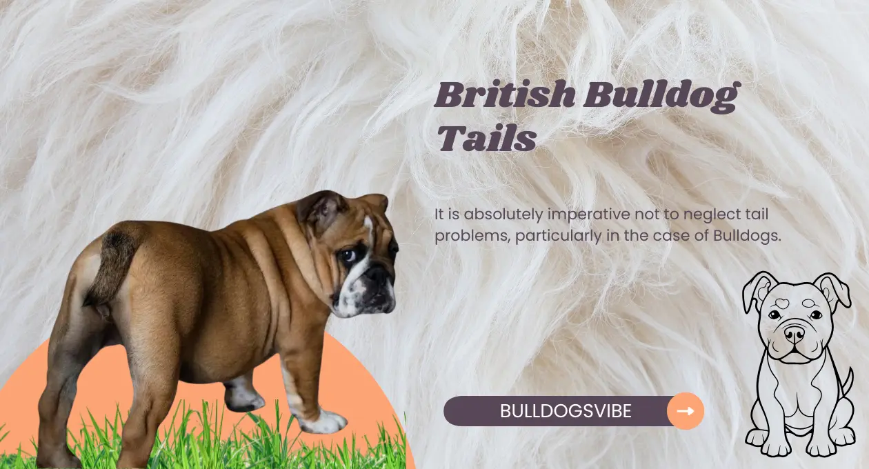 British Bulldog Tails
