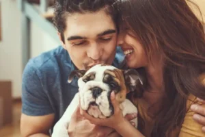 The Red British Bulldog: A Rare and Fascinating Breed 2 red british bulldog