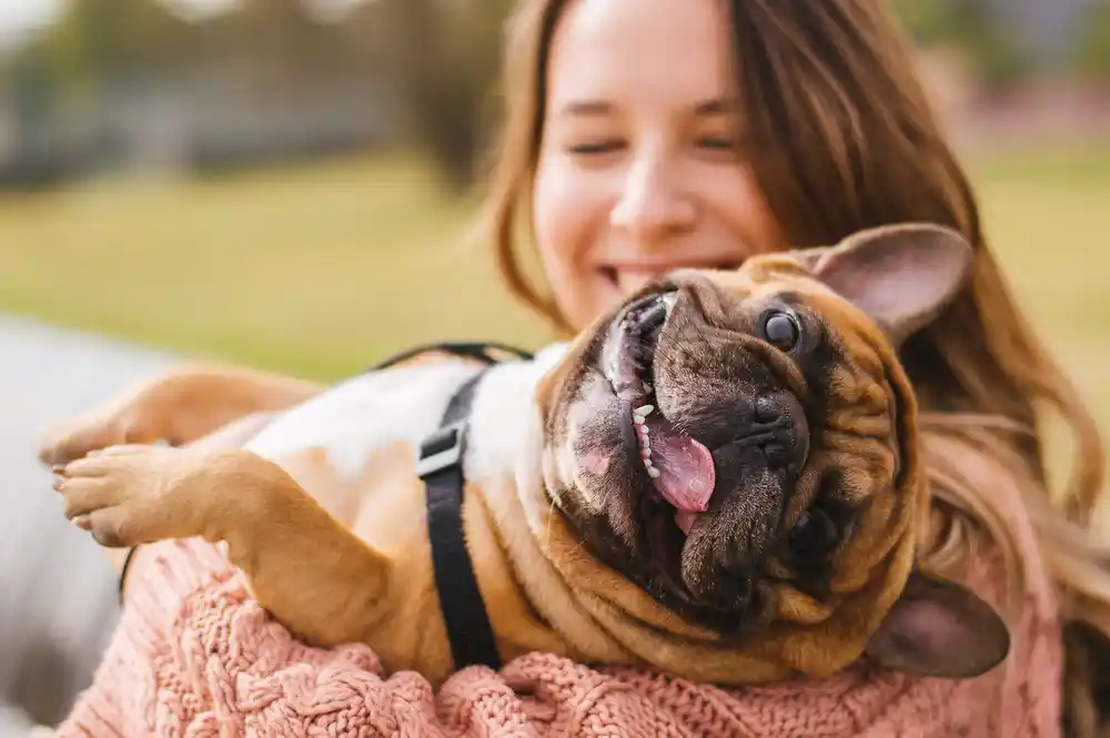 Are French Bulldogs Good with Kids?